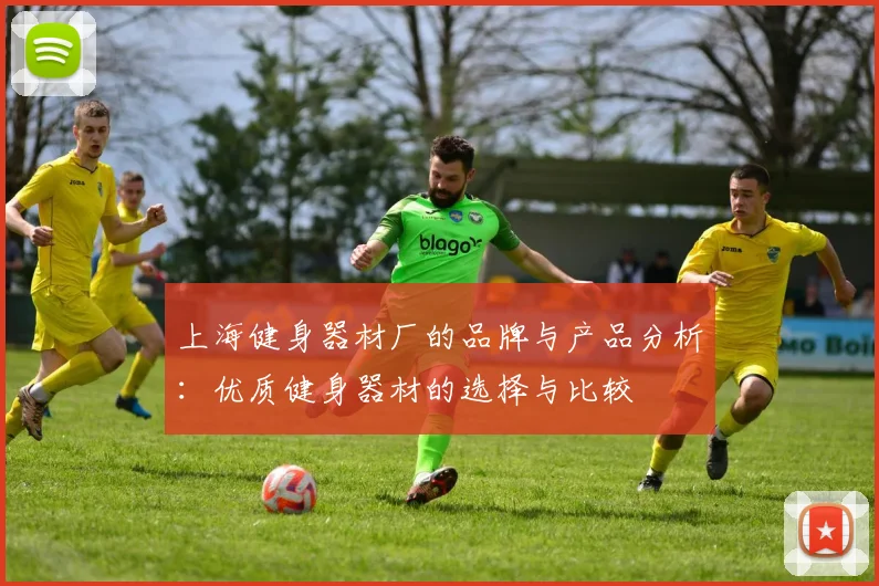 上海健身器材厂的品牌与产品分析：优质健身器材的选择与比较