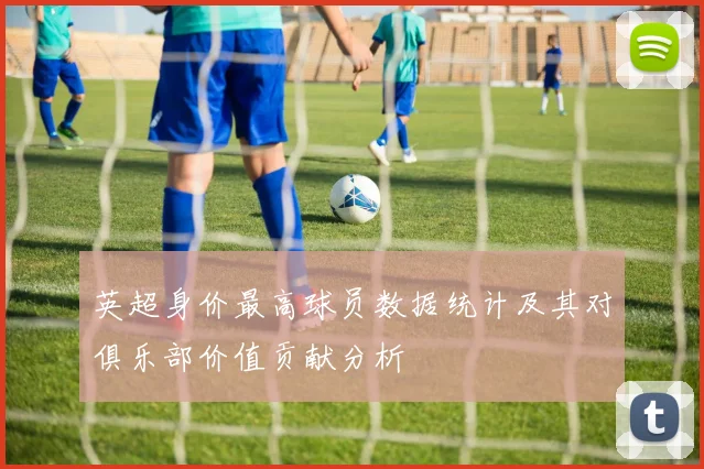 英超身价最高球员数据统计及其对俱乐部价值贡献分析