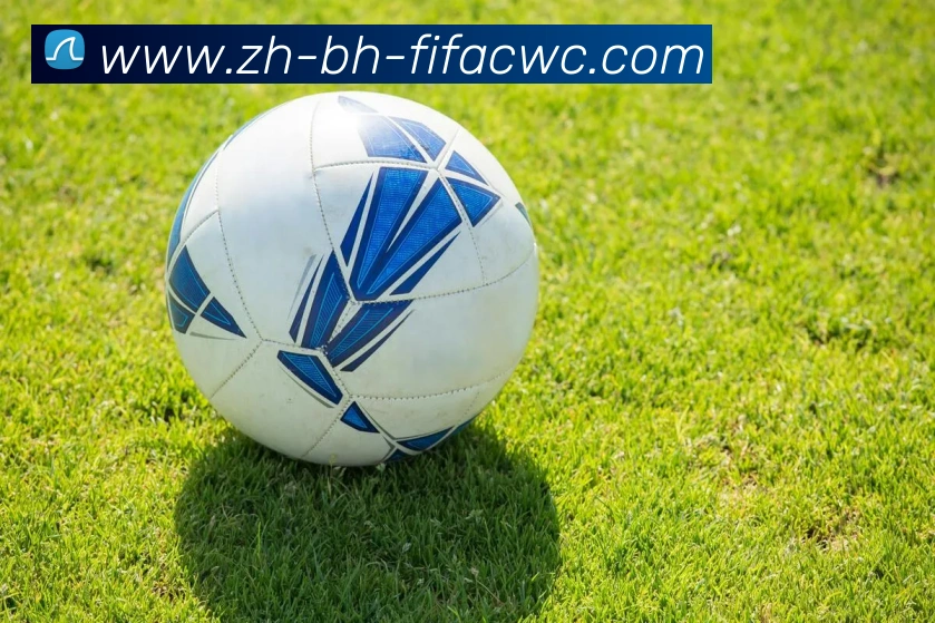 世界杯在线观看平台生态图