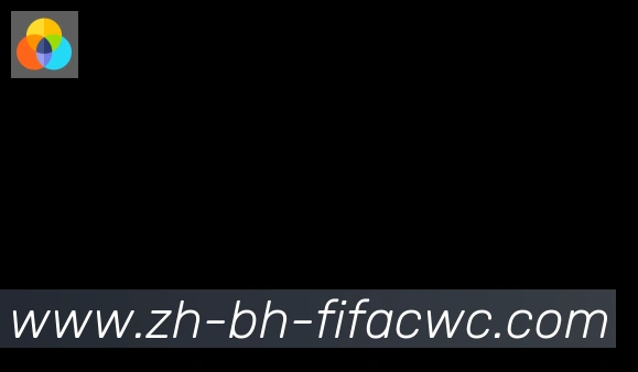 世界杯在线观看合作伙伴