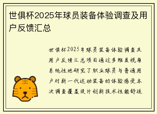 世俱杯2025年球员装备体验调查及用户反馈汇总